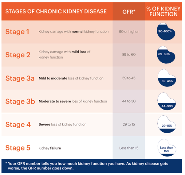 thetole acupuncture herbal medical centre kidney alternative treatment kuala lumpur kl malaysia